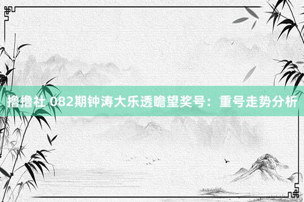 撸撸社 082期钟涛大乐透瞻望奖号：重号走势分析