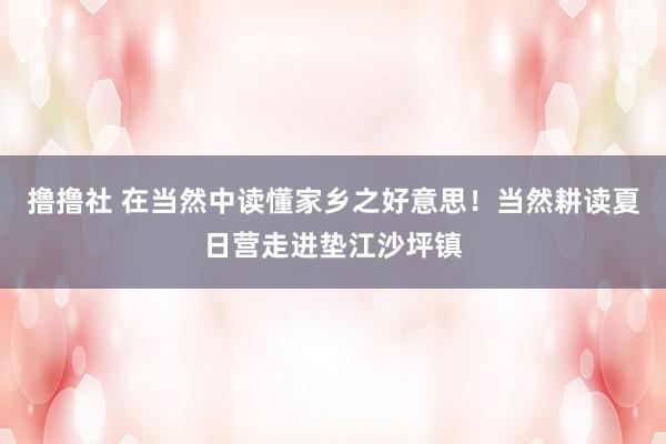 撸撸社 在当然中读懂家乡之好意思！当然耕读夏日营走进垫江沙坪镇