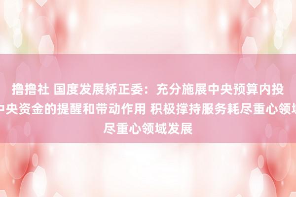 撸撸社 国度发展矫正委：充分施展中央预算内投资等中央资金的提醒和带动作用 积极撑持服务耗尽重心领域发展