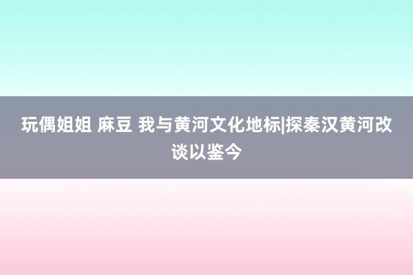 玩偶姐姐 麻豆 我与黄河文化地标|探秦汉黄河改谈以鉴今