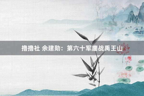 撸撸社 余建勋：第六十军鏖战禹王山