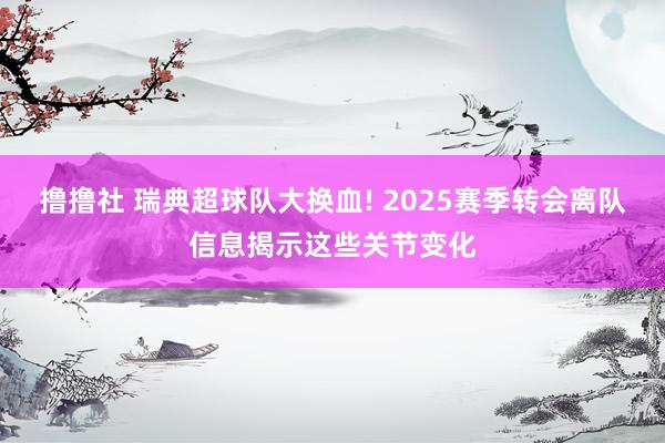 撸撸社 瑞典超球队大换血! 2025赛季转会离队信息揭示这些关节变化