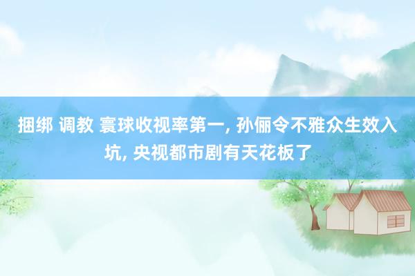 捆绑 调教 寰球收视率第一, 孙俪令不雅众生效入坑, 央视都市剧有天花板了