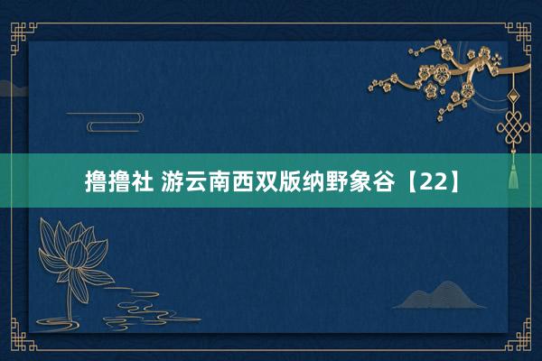 撸撸社 游云南西双版纳野象谷【22】