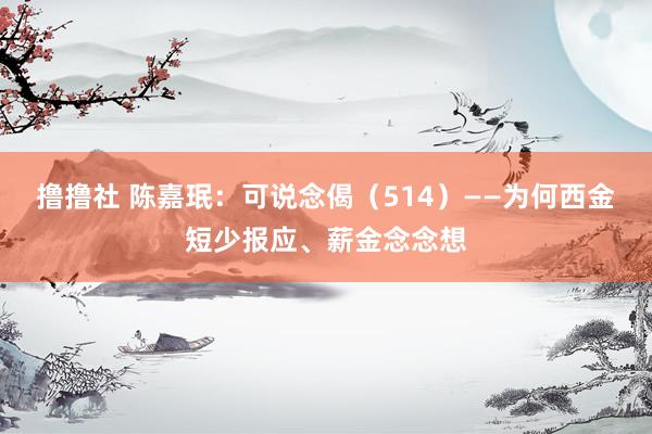 撸撸社 陈嘉珉：可说念偈（514）——为何西金短少报应、薪金念念想